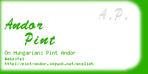 andor pint business card